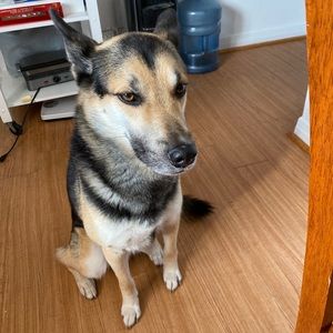 Meet your Posher, Ferhat